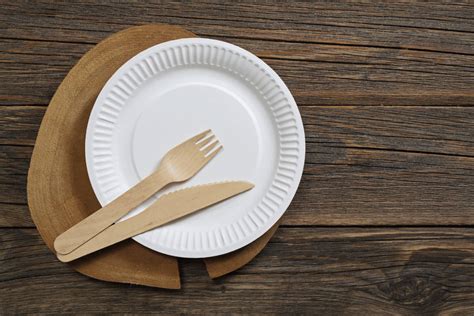 Are Paper Plates Bad for the Environment: Do They Dream of Electric Trees?