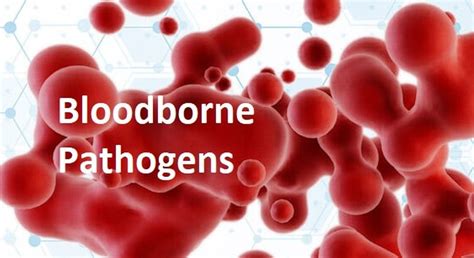 How Often Should Bloodborne Pathogens Training Be Done: A Comprehensive Guide to Frequency and Importance