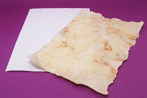 How to Make Parchment Paper: A Journey Through Time and Texture