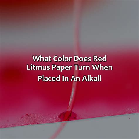 What color does red litmus paper turn when placed in an alkali? And why do we even care about the color of paper in the first place?