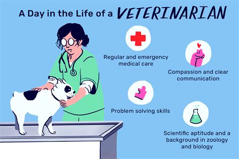 What Education Do You Need to Be a Veterinarian? And Why Do Cats Always Land on Their Feet?