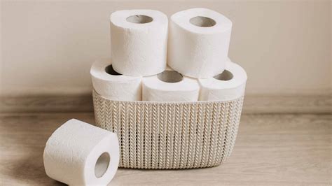 What Toilet Paper is Best for Septic Tanks and Why Pineapples Might Be the Future of Plumbing