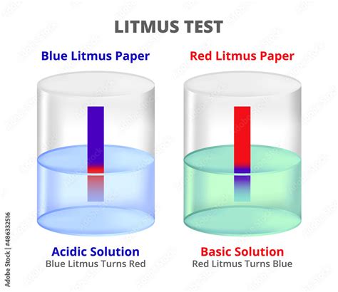 What Turns Blue Litmus Paper Red: A Journey Through Chemistry and Beyond