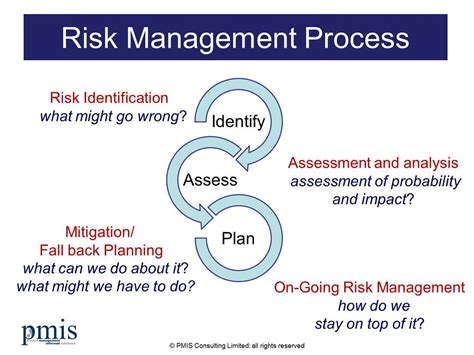 When should project managers engage in risk management? And why do some risks taste like pineapple?